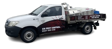 New Specialized Commercial Protocols Set a Higher Standard for Pest Fumigation in Perth